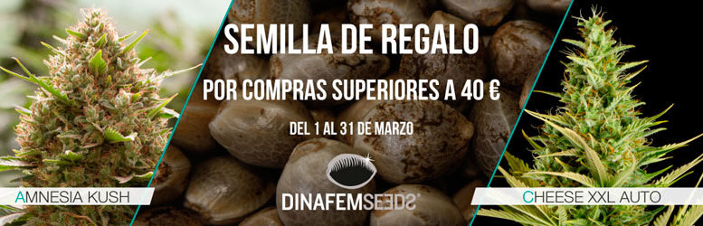 ¡¡¡Semillas Dinafem Seeds en Promoción!!!