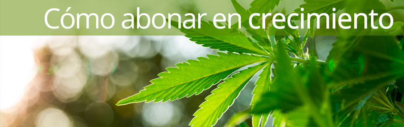 cómo abonar tus plantas en la fase de crecimiento