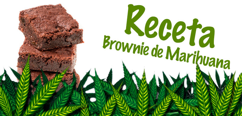 Cómo hacer los mejores brownies de cannabis: receta de brownie de mari – Mad Cat Smokeshop