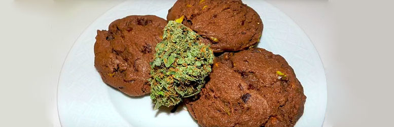 Galletas de marihuana para consumo terapéutico