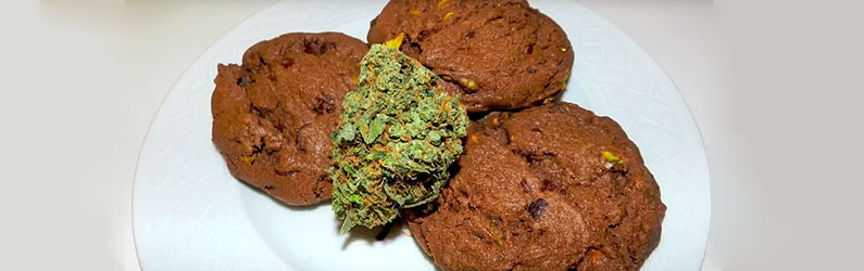 Galletas terapéuticas de cannabis