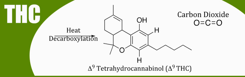 thc marihuana