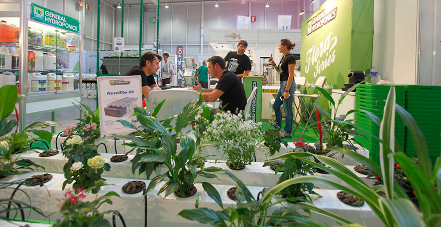 Plantas para expogrow