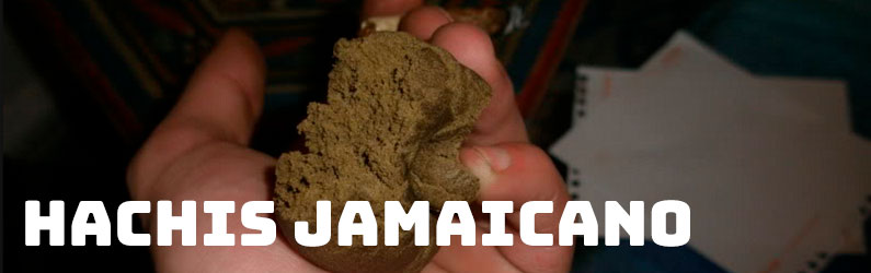hachis jamaica
