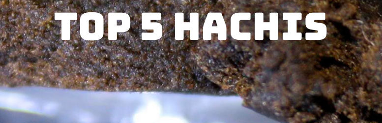 5 variedades de hachís que deberías fumar