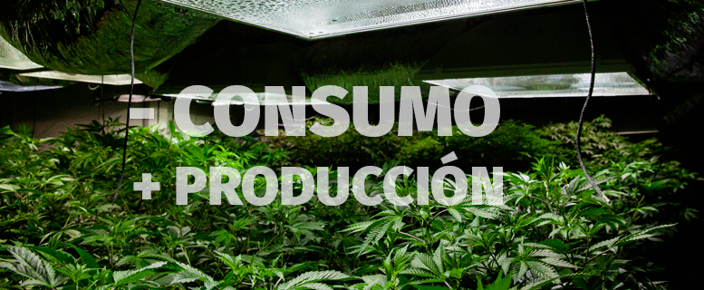 Reduce el consumo y aumenta la producción de tu cosecha