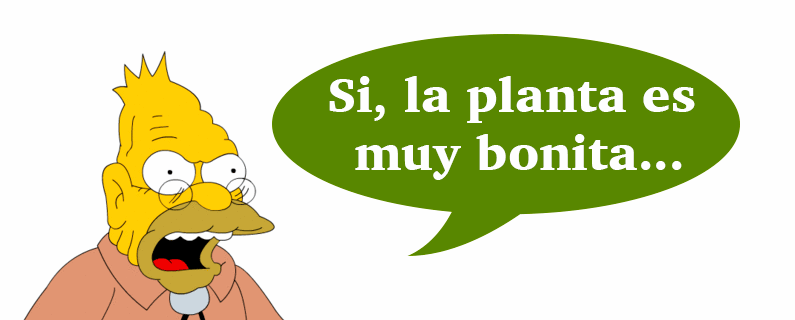 Abe Simpsons dice no a los machos