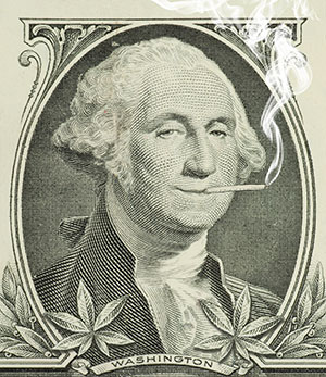 dolar marihuana