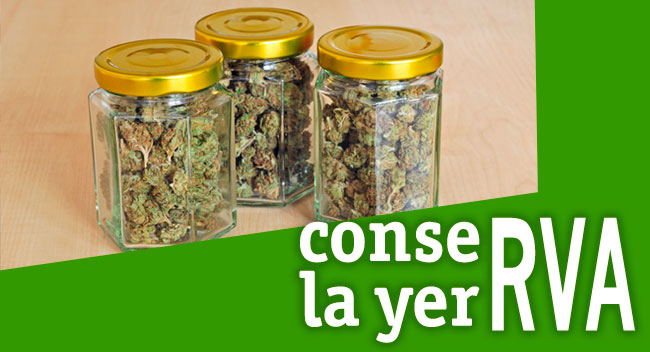 conservar marihuana