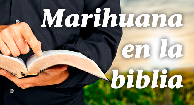 Varias referencias a la marihuana en la Biblia