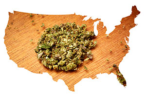 mapa usa cogollos marihuana