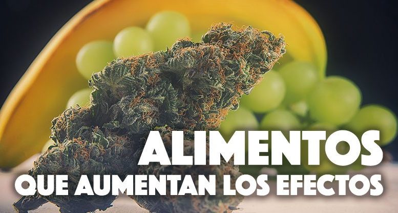 Alimentos que aumentan el efecto del cannabis