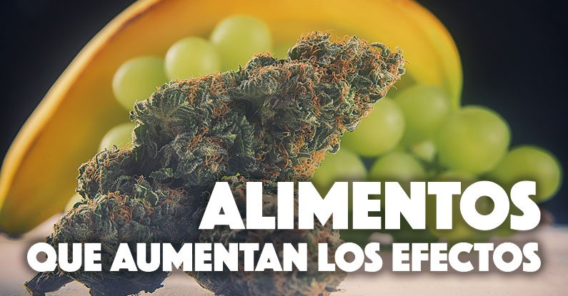 alimentos aumentan efectos marihuana