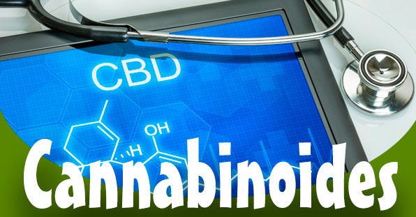 Cannabinoides para aliviar el dolor del cancer