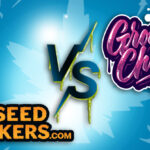 Growers Choice vs Seed Stockers: ¡La Batalla de las Semillas en Yervagüena!