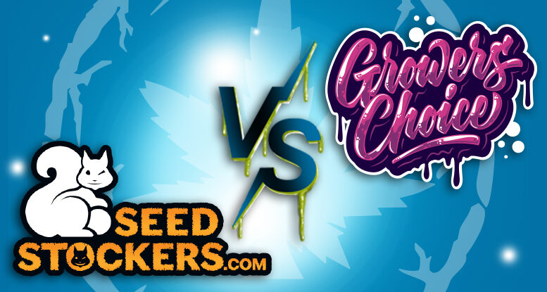Growers Choice vs Seed Stockers: ¡La Batalla de las Semillas en Yervagüena!