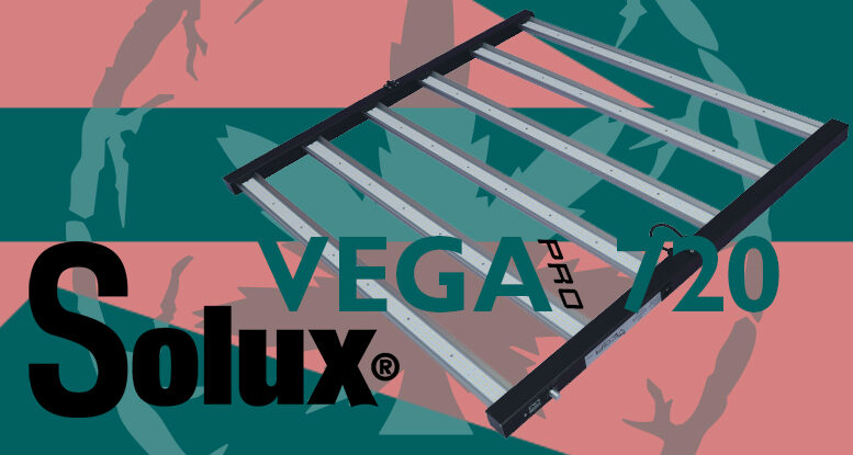 Vega Pro 720W de Solux: eficiencia LED de alto nivel